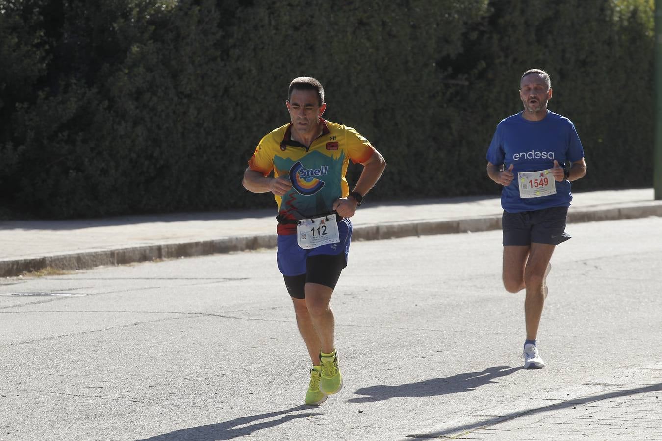 Celebración de la Carrera de Empresas de ABC de Sevilla