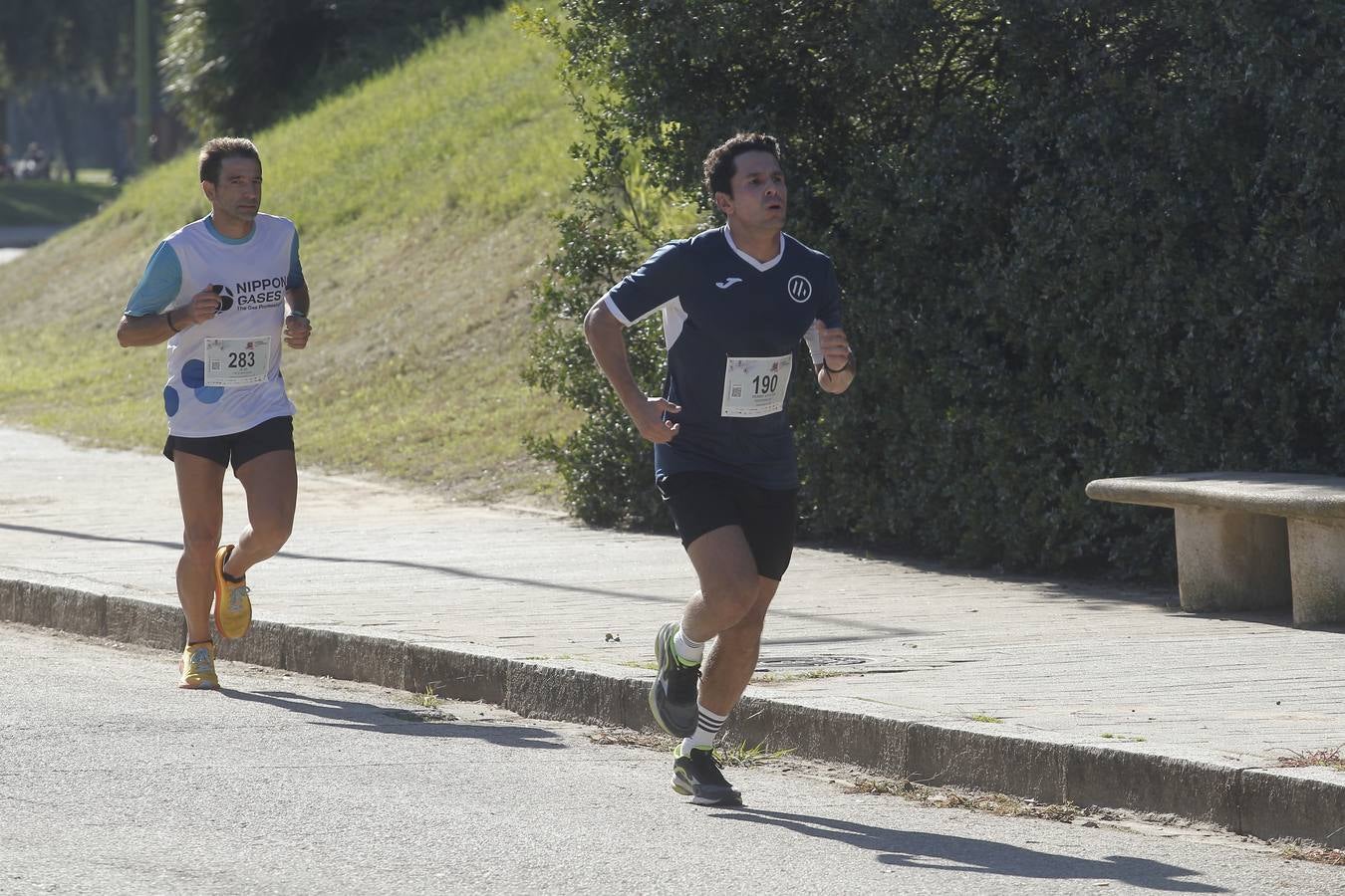 Celebración de la Carrera de Empresas de ABC de Sevilla