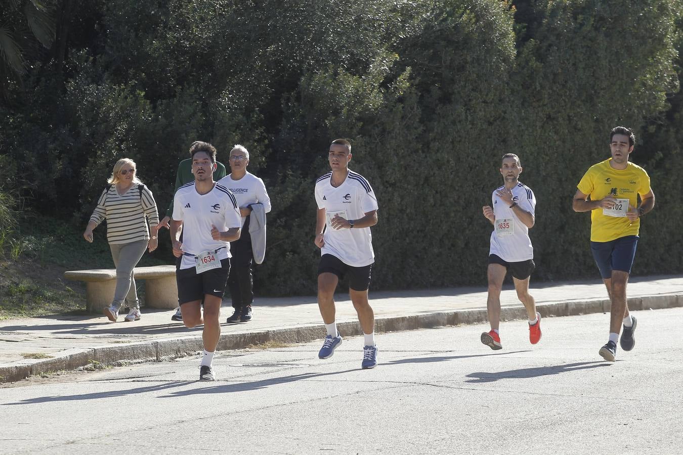 Celebración de la Carrera de Empresas de ABC de Sevilla