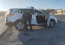 Detienen a cuatro furtivos en Los Palacios que cazaban liebres con visores térmicos