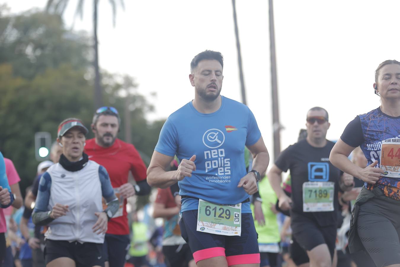 Corredores por la Torre del Oro y Plaza de Toros de la Real Maestranza