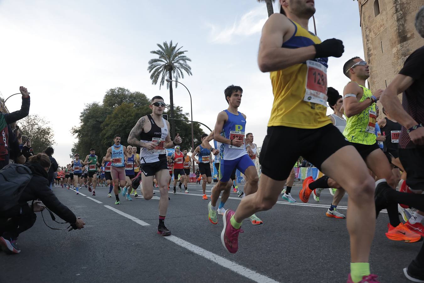 Corredores por la Torre del Oro y Plaza de Toros de la Real Maestranza