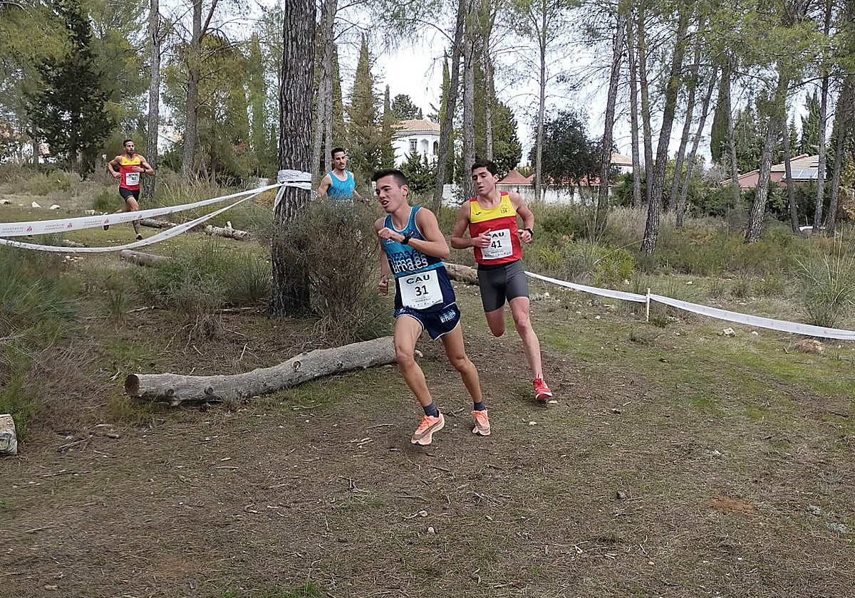La Universidad de Sevilla se prepara para el CAU de Campo a través