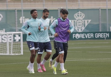 El Betis sondea el mercado para fichar otro nueve para la 2024-25