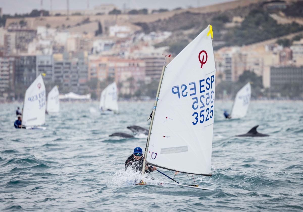 Larga tercera jornada del Campeonato de España de Optimist con victorias catalanas y lideratos canarios