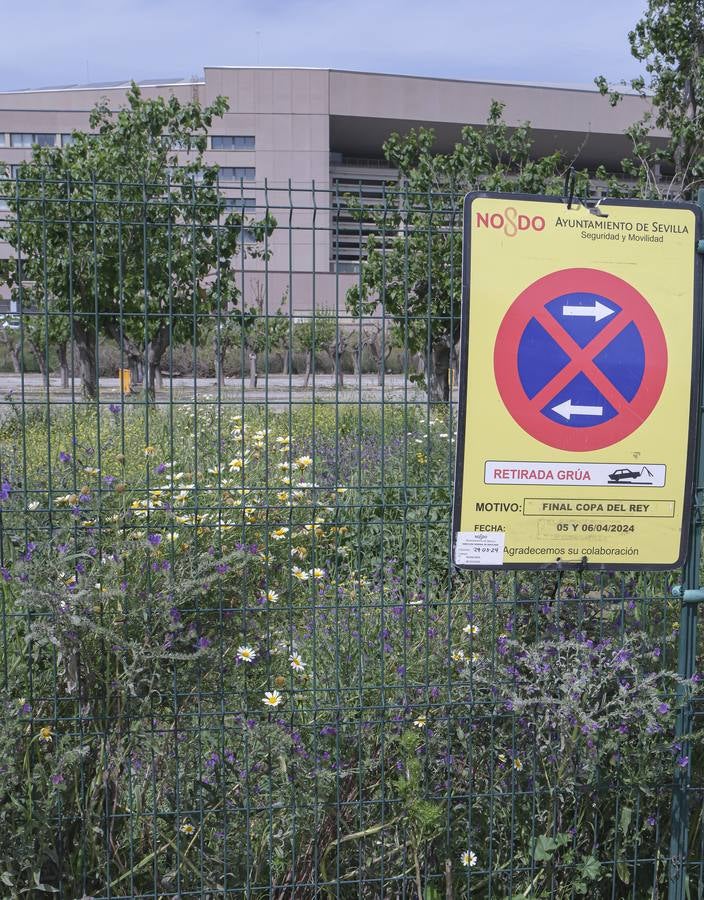 Los aledaños del estadio de La Cartuja presentan numerosos desperfectos