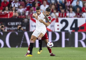 Se acaba la temporada para Lamela
