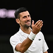 Djokovic, a semifinales sin jugar por la baja de De Miñaur