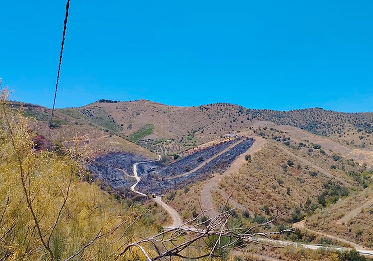 Vista del incendio forestal