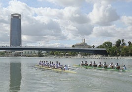 Regata Sevilla-Betis 2024: horario, dónde ver y recorrido de la competición de remo