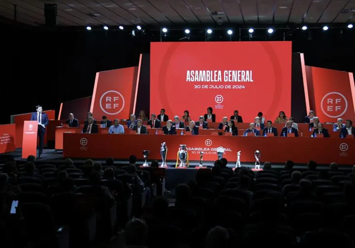 Imagen de la Asamblea General de la RFEF celebrada en julio de 2024