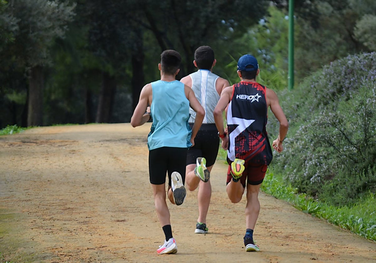 Nueva edición del Campeonato Universitario de Campo a través