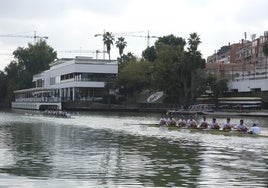 Regata Sevilla - Betis 2024, en directo: sigue la clásica de remo femenina y masculina en el río Guadalquivir