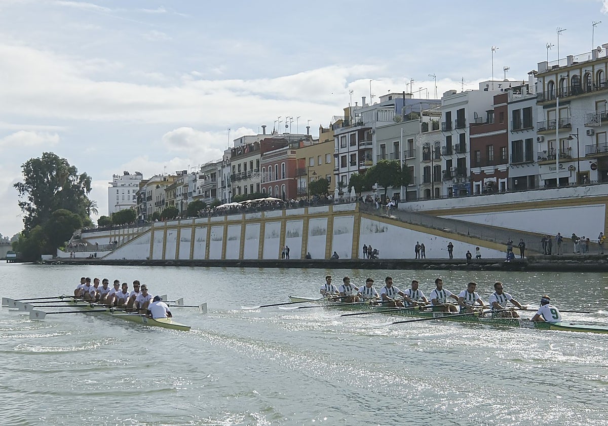 Las embarcaciones del Sevilla y el Betis, a la altura de Triana en el derbi de 2023