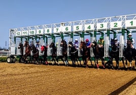 Las carreras de caballos vuelven en diciembre al Gran Hipódromo de Andalucía de Dos Hermanas