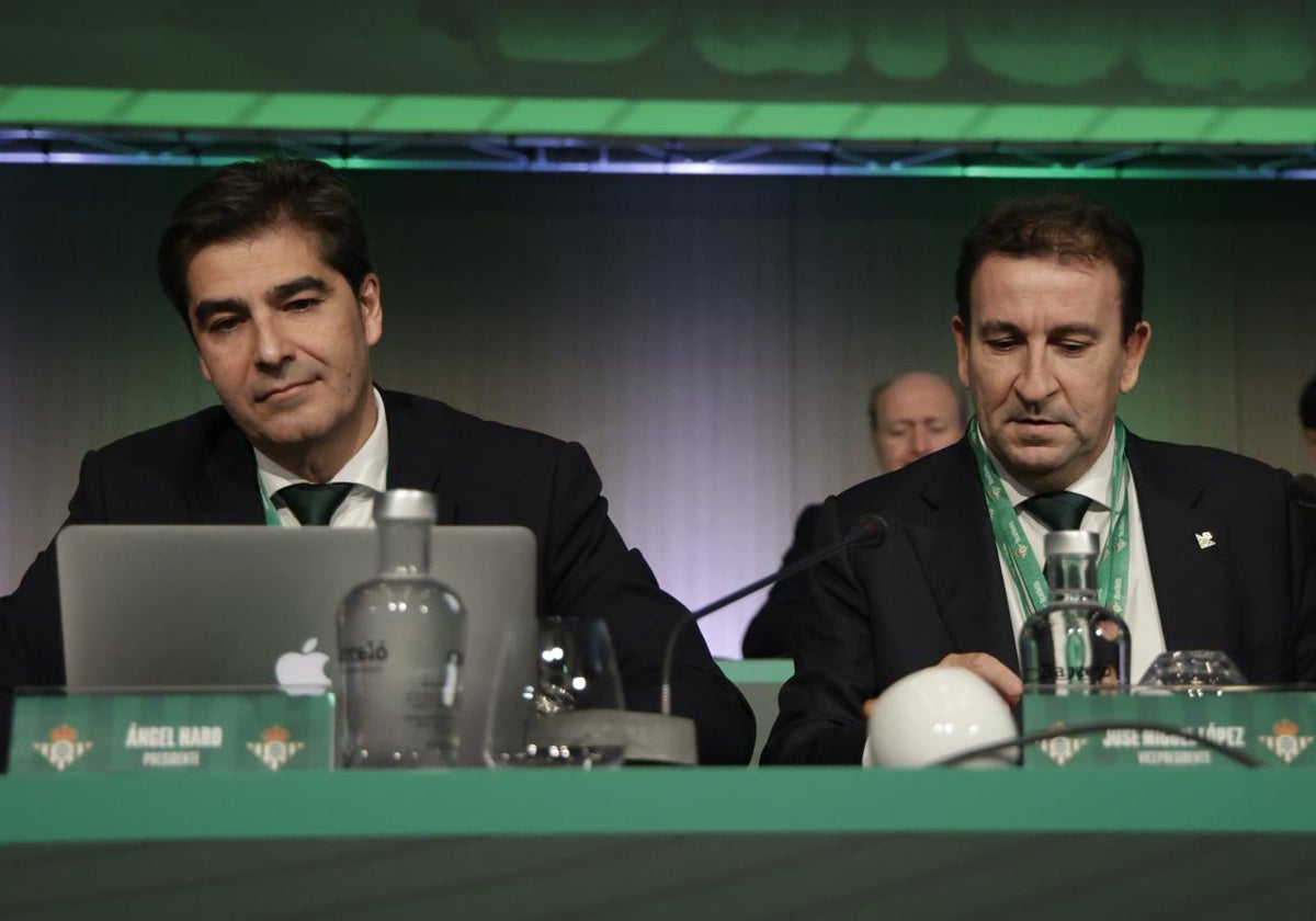 Ángel Haro y José Miguel López Catalán durante la Junta General de Accionistas del Betis 2024