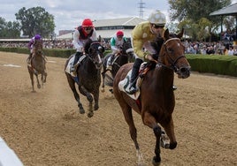 El Real Club Pineda, ya preparado para sus tradicionales carreras de caballos