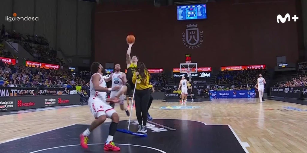 Surrealist Basket Found in Tenerife