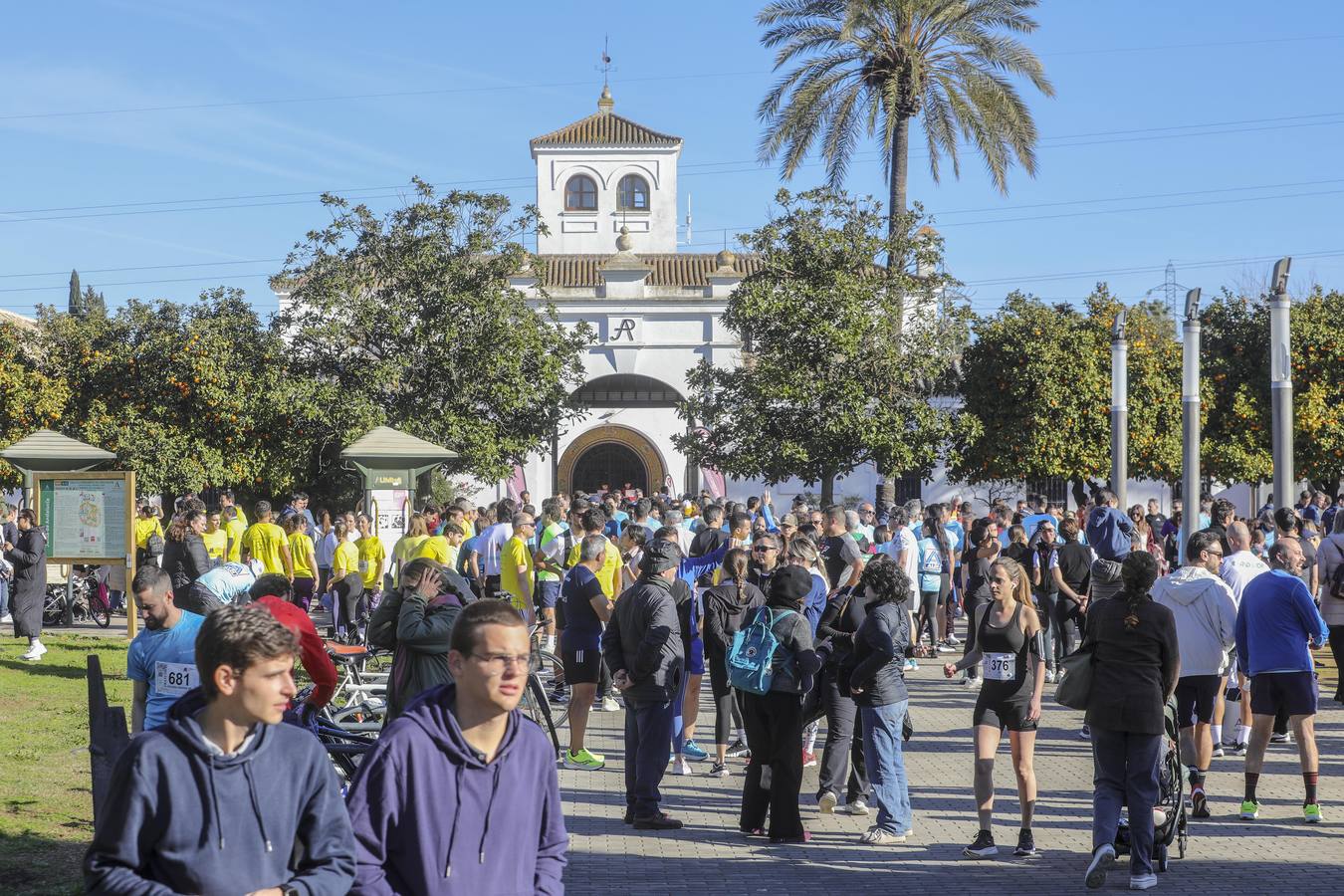 Celebración de la Carrera de Empresas de ABC de Sevilla