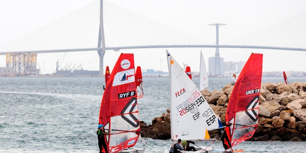 Celebrating 20 Years: The Andalusian Olympic Week Highlights