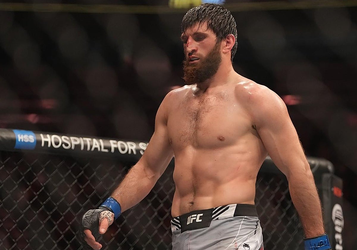 Magomed Ankalaev quiere proclamarse campeón de la UFC