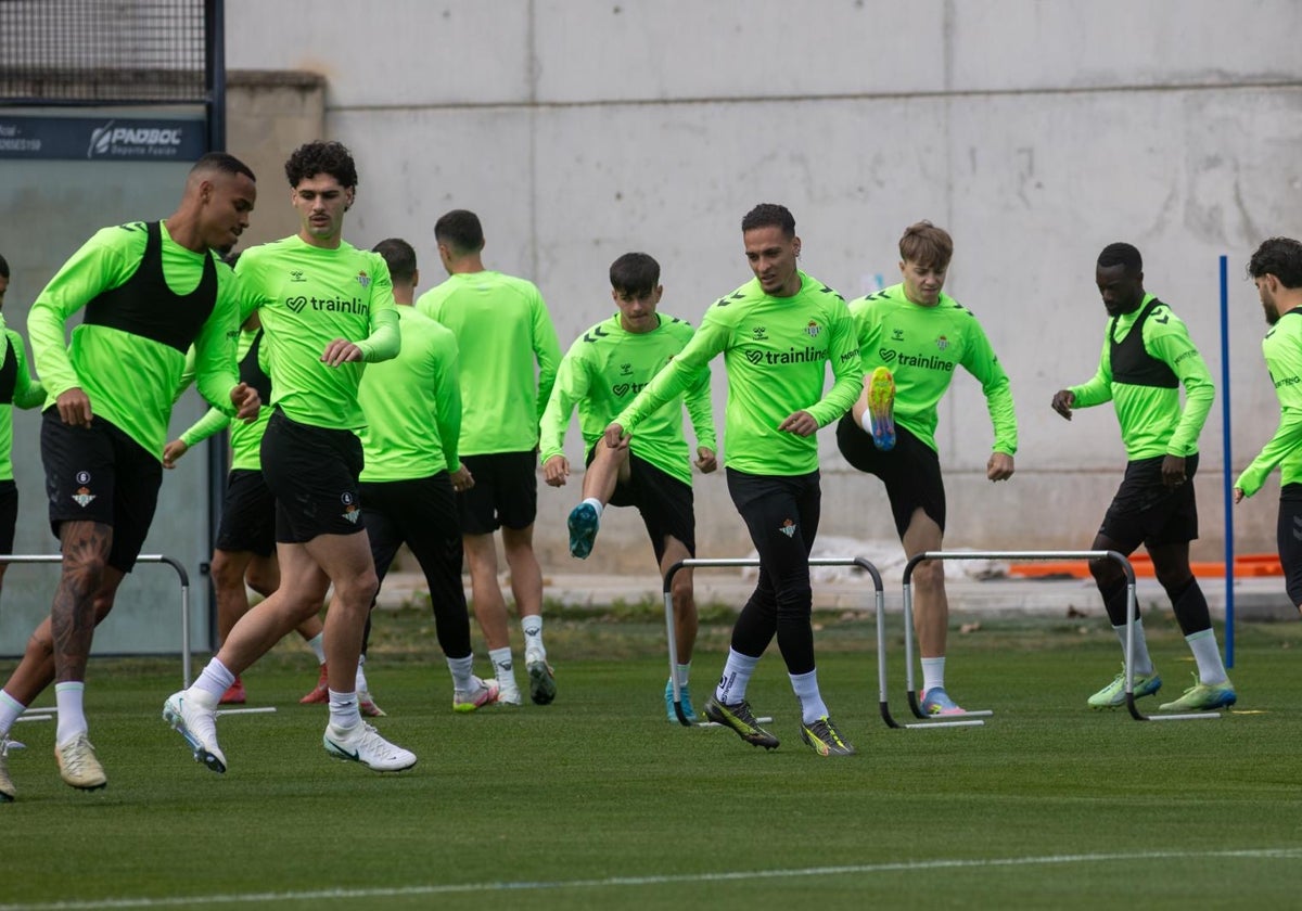 Los jugadores del Betis, ejercitándose este domingo en la preparación del choque en Montilivi