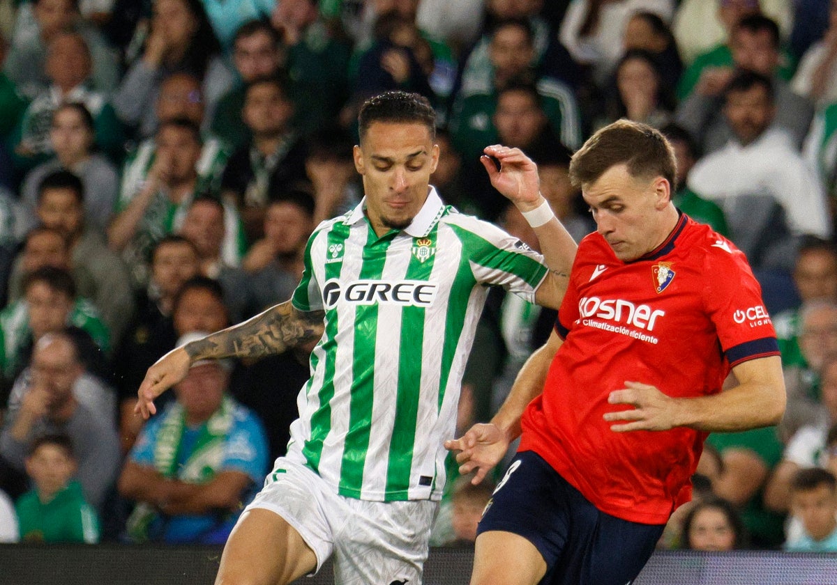 Antony pugna con Ibáñez durante el Betis - Osasuna