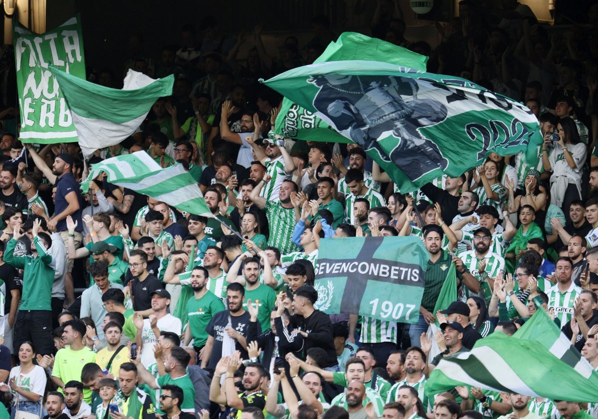 Aficionados del Betis durante el partido contra el Osasuna