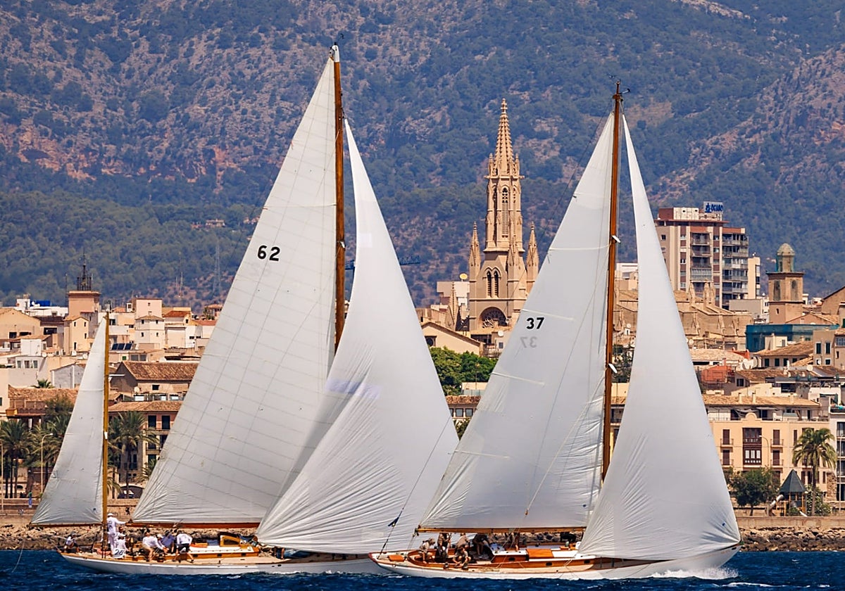 La vela clásica será protagonista en la bahía de Palma