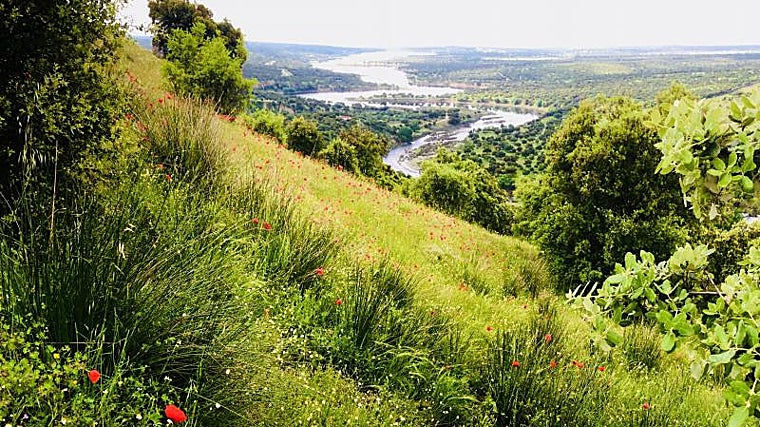 Monte El Pardo, Madrid
