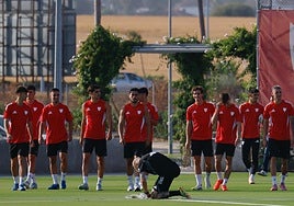 Ocho bajas para Almeyda en la vuelta al trabajo del Sevilla FC