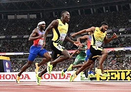 Jamaica vuelve a volar