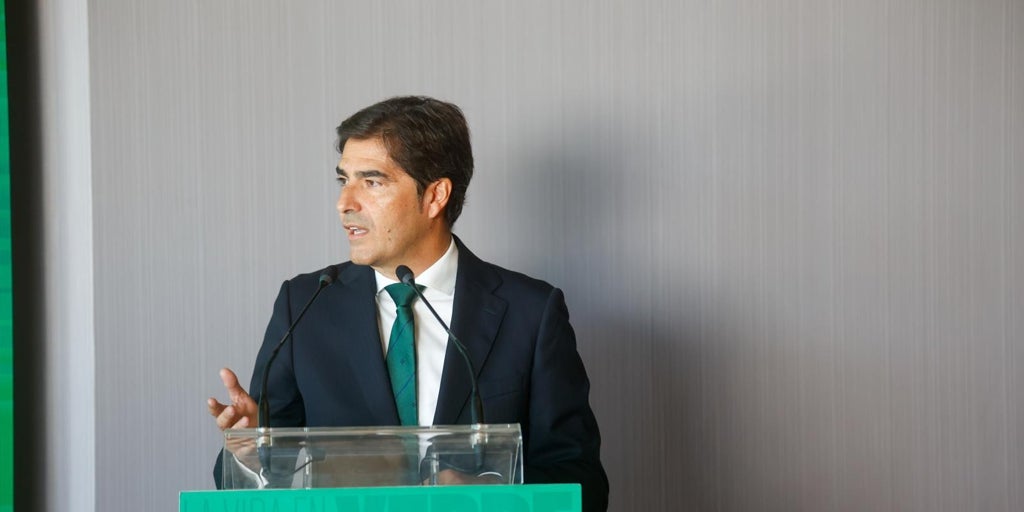 Haro evita poner plazos a las obras en el Benito Villamarín «hasta que no lo cerremos con la constructora»