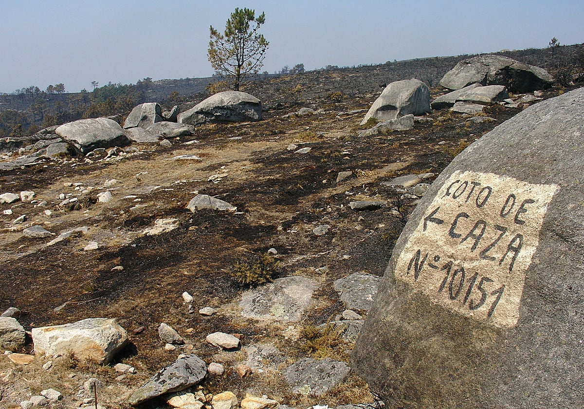 Los incendios han acabado con miles y miles de hectáreas