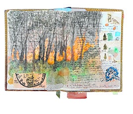 El campo tiene las letras muy gordas