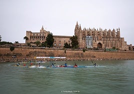Espectáculo a los pies de la Catedral de Palma