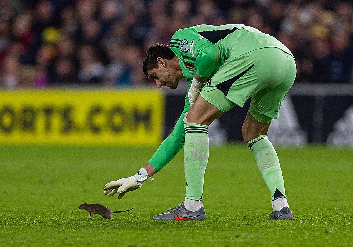 Courtois, intentando atrapar la rata en el césped del Cardiff City Stadium
