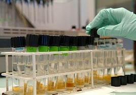 La lucha antidopaje se revitaliza con el uso del pasaporte biológico