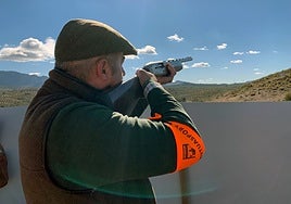 El Parlamento de Andalucía rechaza la prohibición inmediata de la munición de plomo en la caza