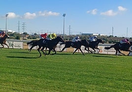 Doblete ganador del preparador Efraín Arguinzones en el Gran Hipódromo de Andalucía