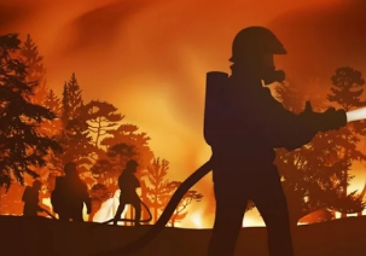 Ecofire puede ser una herramienta muy útil para acabar los incendios que cada año asolan el país