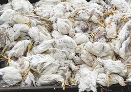 Motores de cohetes, zepelines estratosféricos... Así es 'la NASA' de Teruel