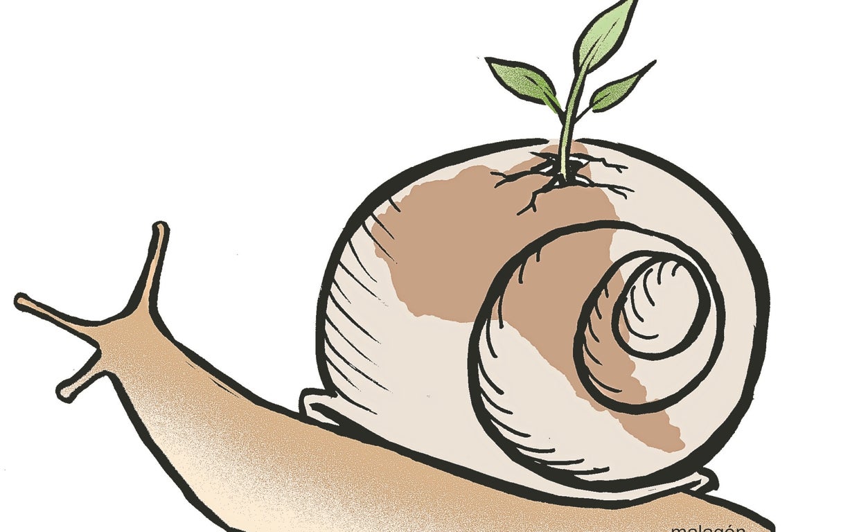 El lento viaje sostenible de las empresas iberoamericanas