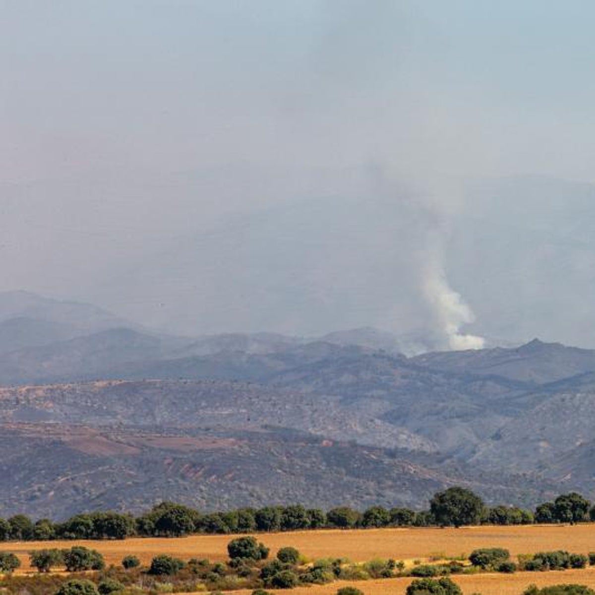 Los casos en los que se puede reclamar por los perjuicios causados por un incendio