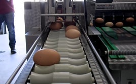 El curioso caso del huevo: la razón por la que se dispara de precio más que otros alimentos