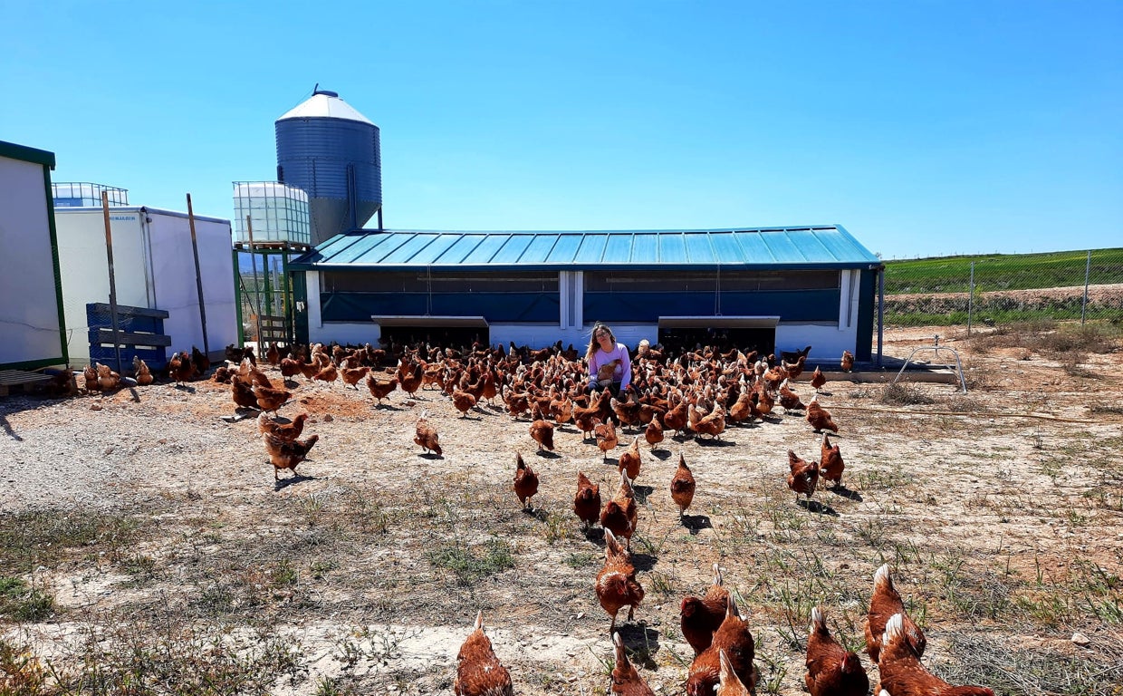 El curioso caso del huevo: la razón por la que se dispara de precio más que otros alimentos