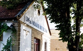 Las bodegas emigran en busca de frío para sus viñas