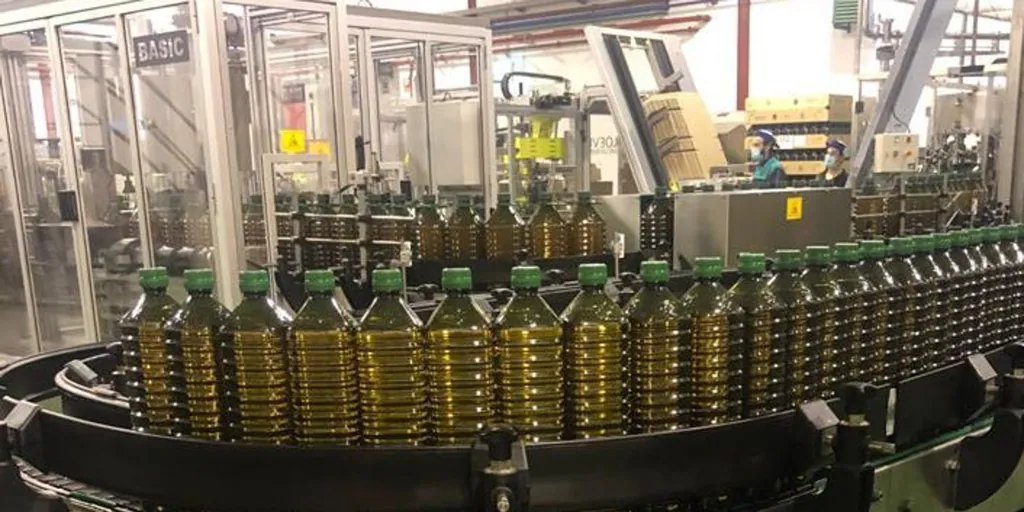 Stress test for olive oil: why the price of liquid gold will continue to skyrocket