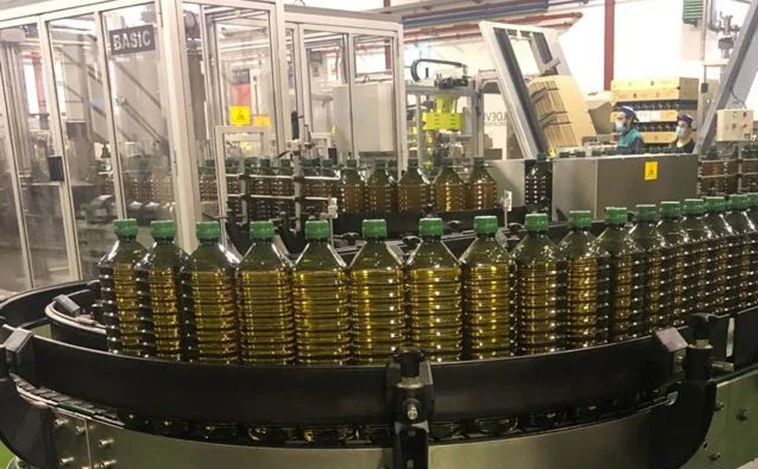 Test de estrés para el aceite de oliva: por qué el precio del oro líquido seguirá por las nubes