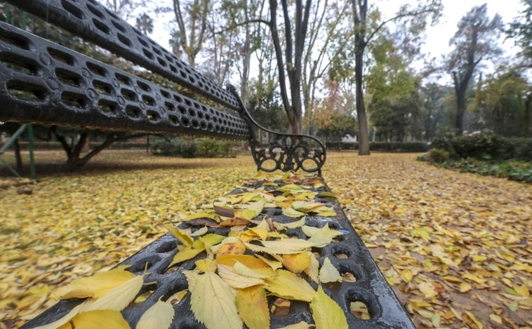 Otoño en la ciudad